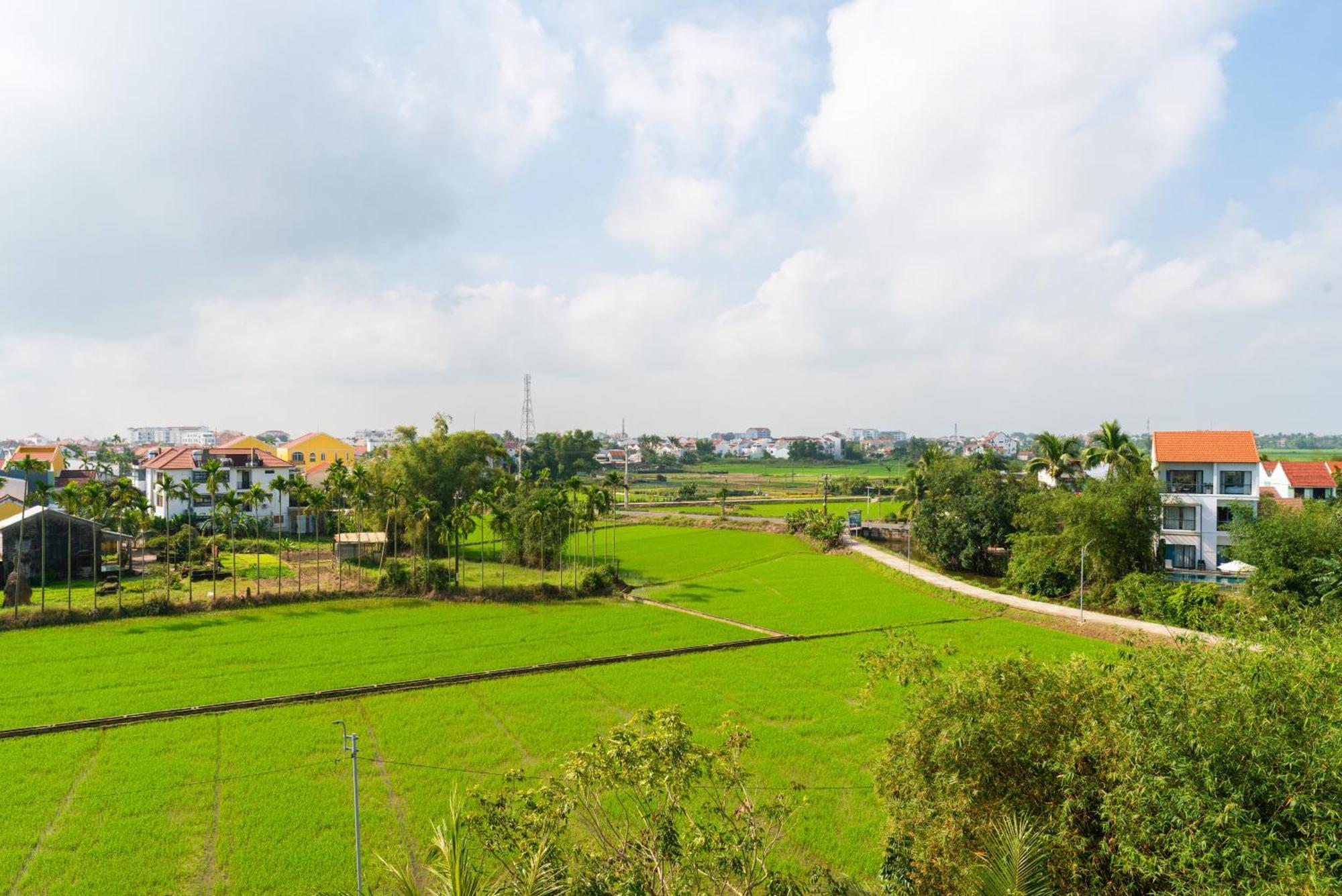 Hoi An Pinus Boutique Hotel Tan Thanh Bagian luar foto