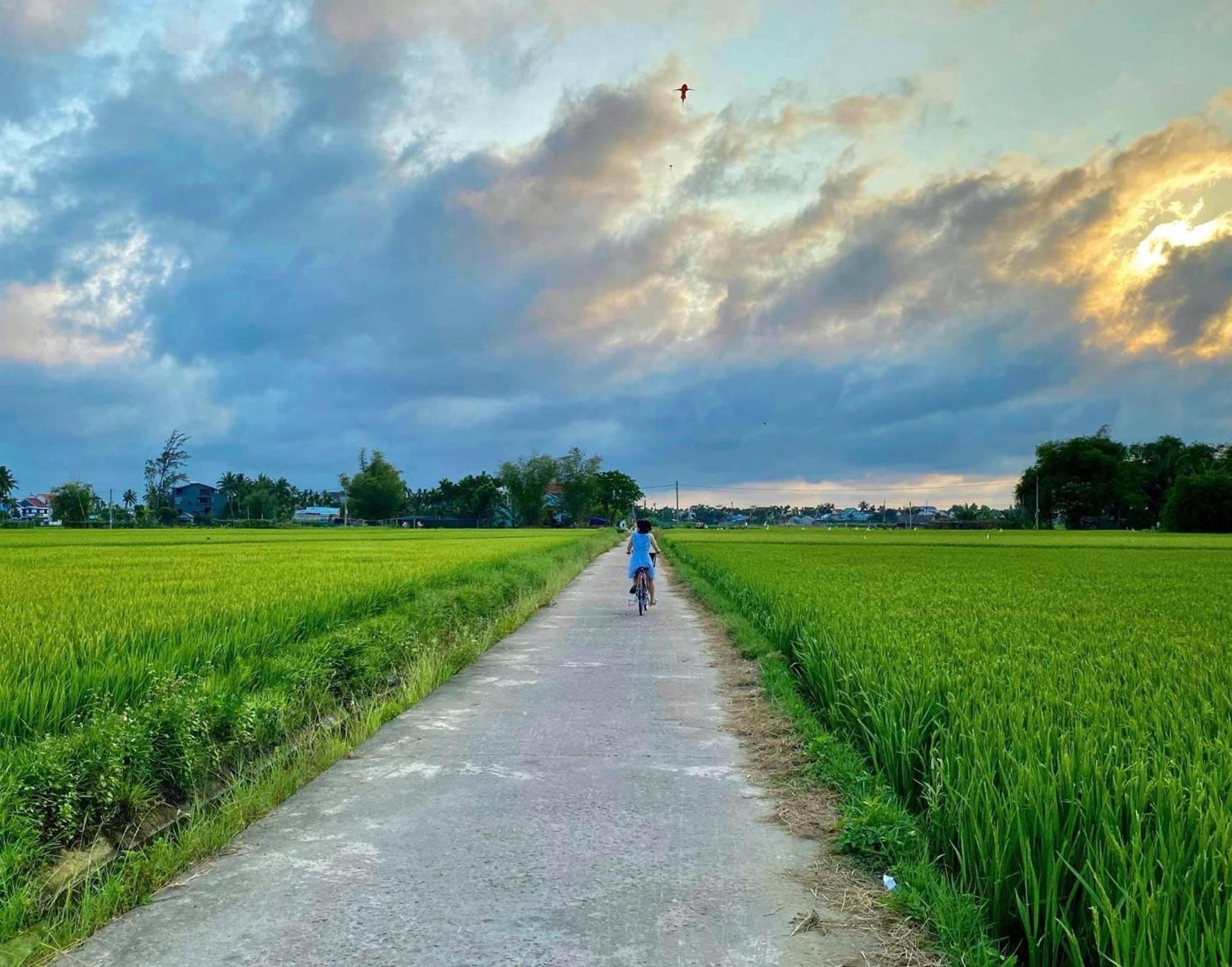 Hoi An Pinus Boutique Hotel Tan Thanh Bagian luar foto