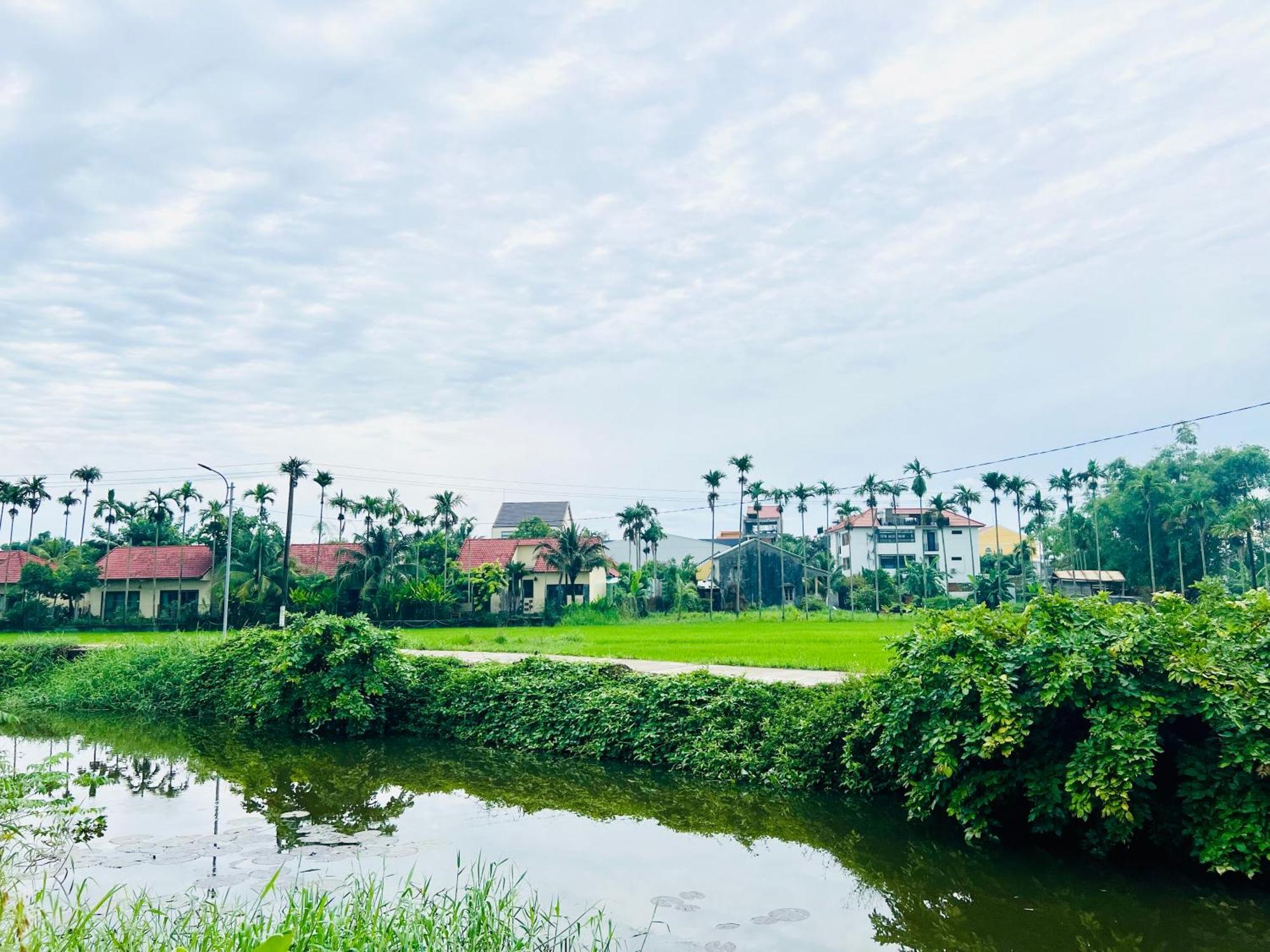 Hoi An Pinus Boutique Hotel Tan Thanh Bagian luar foto